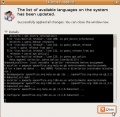 Inicio vez 14- idioma, pktes soporte instalados.jpg